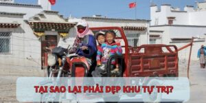 Dẹp khu tự trị