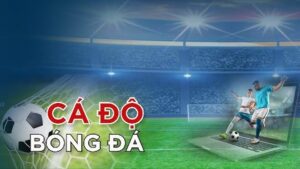 Cá độ bóng đá